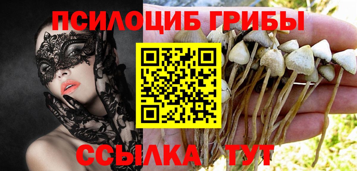 Галлюциногенные грибы Cubensis  Псилоцибиновые грибы Psilocybe  Вход с VPN  Якутск 