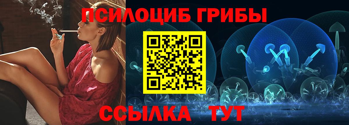 Псилоцибиновые грибы Psilocybine cubensis Якутск